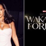 Read more about the article Rihanna Wakanda Forever Song Is a Tribute to Chadwick Boseman