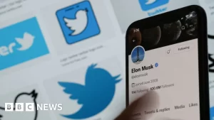 Read more about the article Twitter chaos after wave of blue tick impersonations