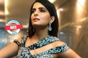 Read more about the article Nice! Kundali Bhagya fame Ruhi Chaturvedi goes to Jaipur with husband and family for Diwali vacay