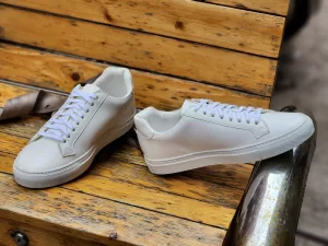 Read more about the article Grape Leather Sneakers – The Shoe Snob Blog