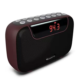 Read more about the article Best FM Radio Bluetooth Speaker  – Amkette Pocket Blast FM Radio Bluetooth Speaker with Type C Charging, Hidden Antenna, 6W Output, Voice/FM Recording, 7+ Hours Playback, and Number Pad (AUX, SD Card, USB Input) (Brown)