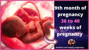 Read more about the article How To 9 Month Pregnancy – 9th month of pregnancy || 36 to 40 weeks of pregnancy 💖
