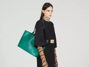 Read more about the article This Gucci Ophidia Tote Might Be the Ideal Carryall