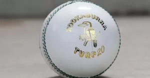 Read more about the article How A lot Does an Worldwide Cricket Ball Price? – Online Cricket News