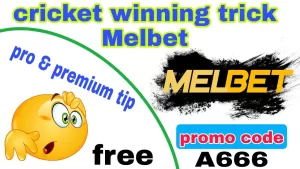 Read more about the article Melbet, 1xbet cricket winning tricks | 1xbet, melbet cricket betting tips |1xbet tricks to win
