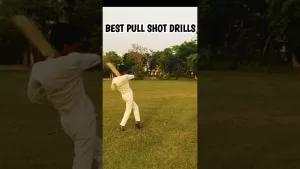 Read more about the article Best pull shot drills 🏏 #shorts #viral #trending #top #battingdrills