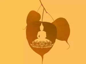 Read more about the article Happy Buddha Purnima 2023: Top 50 Wishes, Messages and Quotes to share with your loved ones