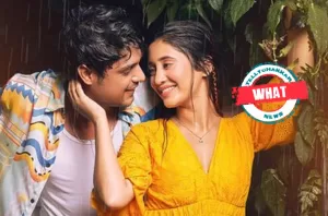 Read more about the article WHAT? Did you know that Shivangi Joshi and Ankit Gupta have worked together on a major project before? find out what?