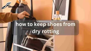 Read more about the article How To Keep Shoes From Dry Rotting: Powerful Strategies And Maintenance Tips [ Updated June 2023 ]