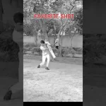 Read more about the article Favorite shot … #shorts – MyCricket.ae
