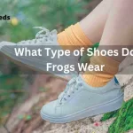 Read more about the article What Type Of Shoes Do Frogs Wear? A Comprehensive Guide [ Updated July 2023 ]